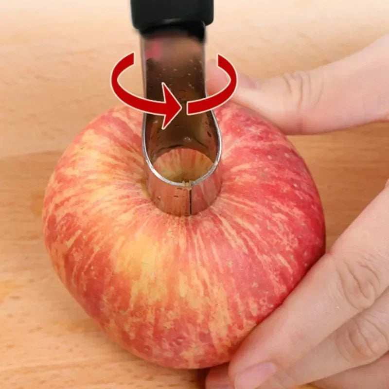 Stainless Steel Fruit Corer Remover