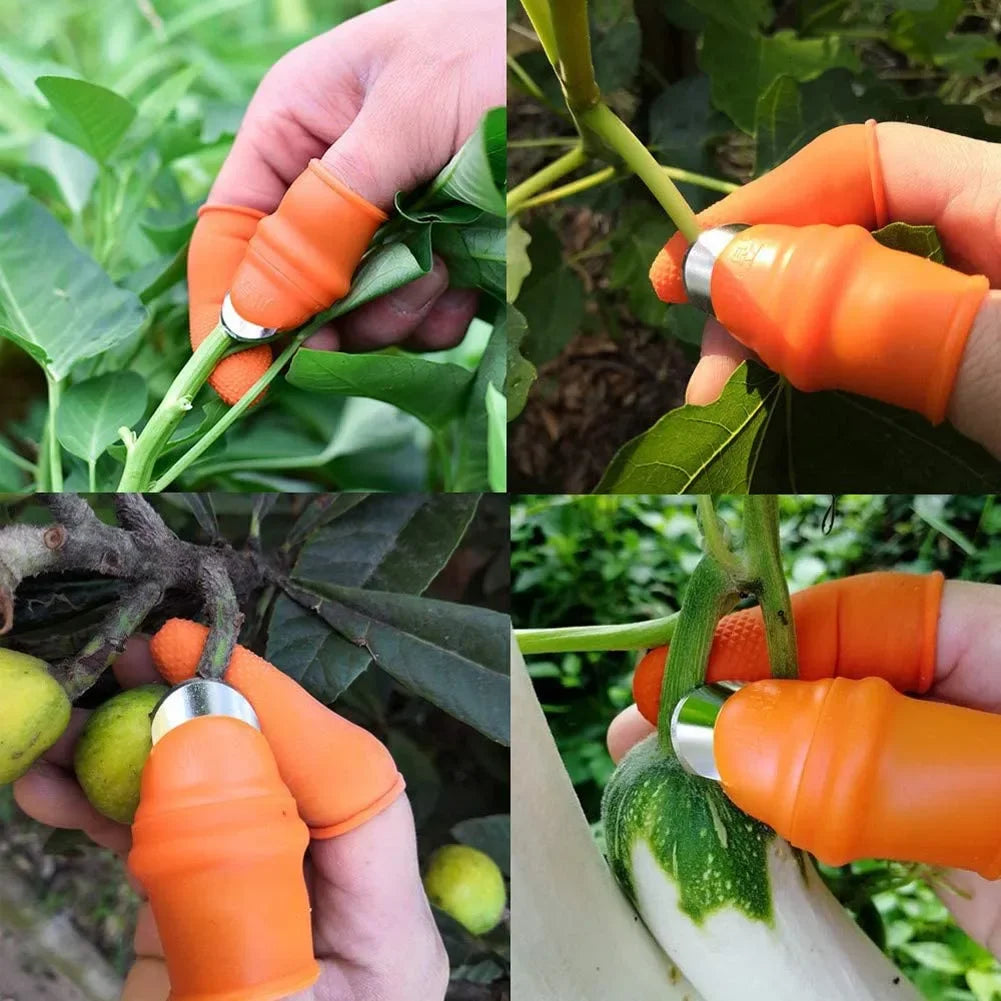 Set Silicone Finger Protector With Blade