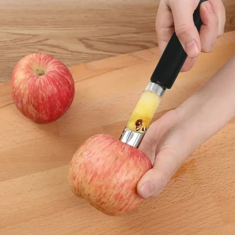 Stainless Steel Fruit Corer Remover